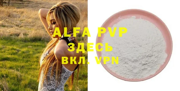 стаф Арсеньев