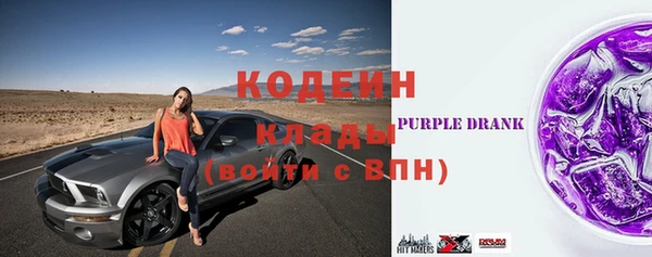 стаф Арсеньев