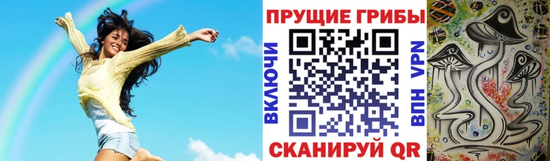 Галлюциногенные грибы мицелий Щигры