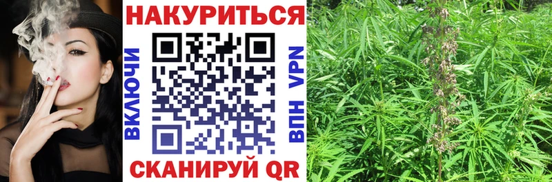 Купить закладки  Щигры  Конопля White Widow 